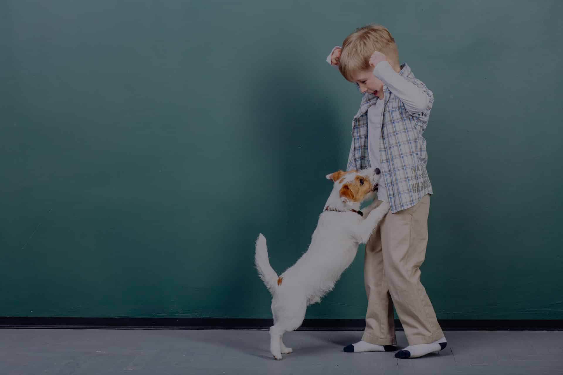 A young boy in a plaid shirt and beige pants dances playfully with a small white dog with brown spots, as if they're performing for the local vet. The dog stands on its hind legs, pawing at the boy, their joyous moment framed by a plain green wall.