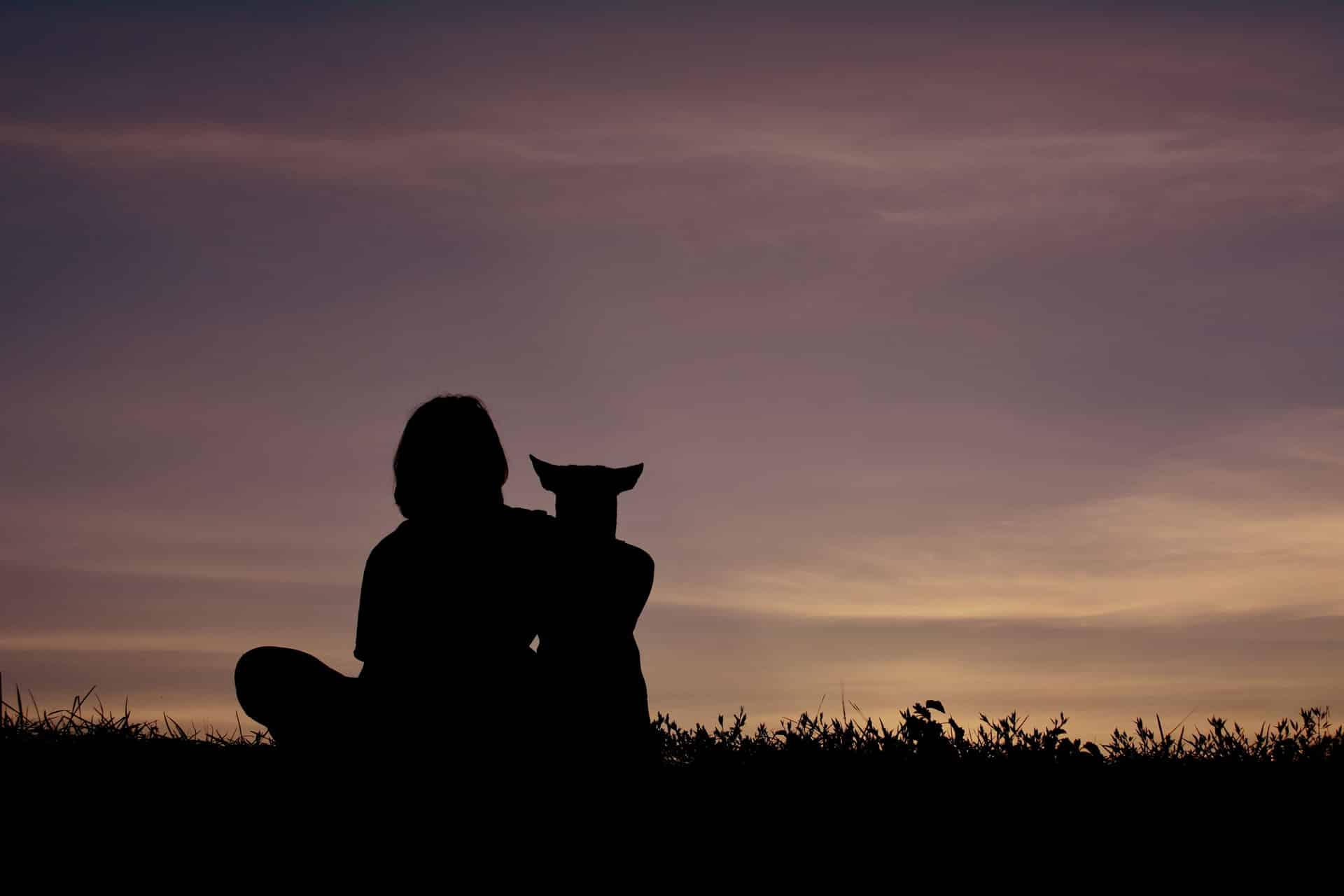 Silhouette women and dog at sky sunset